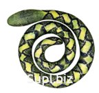 Snake Green "Spiral" Article: МТ11029_conclusion