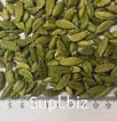 Кардамон зеленый