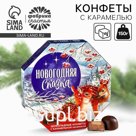 Конфеты шоколадные в коробке «Новогодняя сказка», 150 г