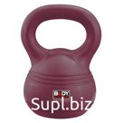 Гиря (корпус пластик) BW-110-16 16кг