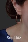 Серьги AW5332290