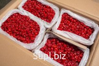 Вишня вяленая – Китай – коробка 13,6 кг