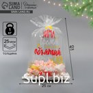 Пакет БОПП новогодний «Зима», 25 х 40 см