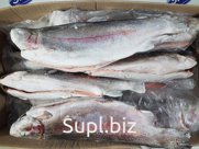 Форель радужная ПСГ 2+ вес Экор (25-30кг)