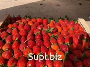 клубника