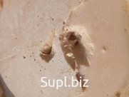 Натуральный пчелиный воск