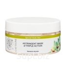 Astringent mask of triple action/ Поросуживающая маска с тройным эффектом Артикул: 00074