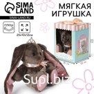 Мягкая игрушка «Принцесса Li», заяц, 25 см