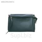 312-90 8035 Женская сумка кожаная Ludor Зеленый