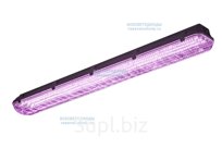 Фитосветильник 116 мкмоль/м2*с IP65