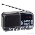 Perfeo радиоприемник цифровой ASPEN FM+ 87.5-108МГц MP3 питание USB или 18650 серый i20 PF B4060