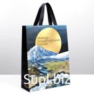 Пакет ламинированный вертикальный «Горы», ML 40×31×11.5 см