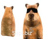 Capybara benchmark 30 cm Article: MT30027