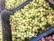 Виноград