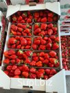 Продам СУПЕР-вкусную  Кубанскую клубнику 🍓. Опт от одного ящика. В ящике 4-6 кг.  Цена меняется каждый день!