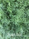 Укроп свежий зелень