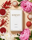 Парфюмерия оптом BYBOZO Decent Парфюмерная вода 75 ml