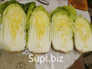 Капуста пекинская