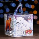 Новогодний подарок «Полярные звери» 450 г