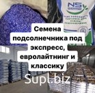 Семена гибридов подсолнечника под экспресс, евролайтнинг и классику